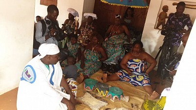 Marabout Africain en Guadeloupe